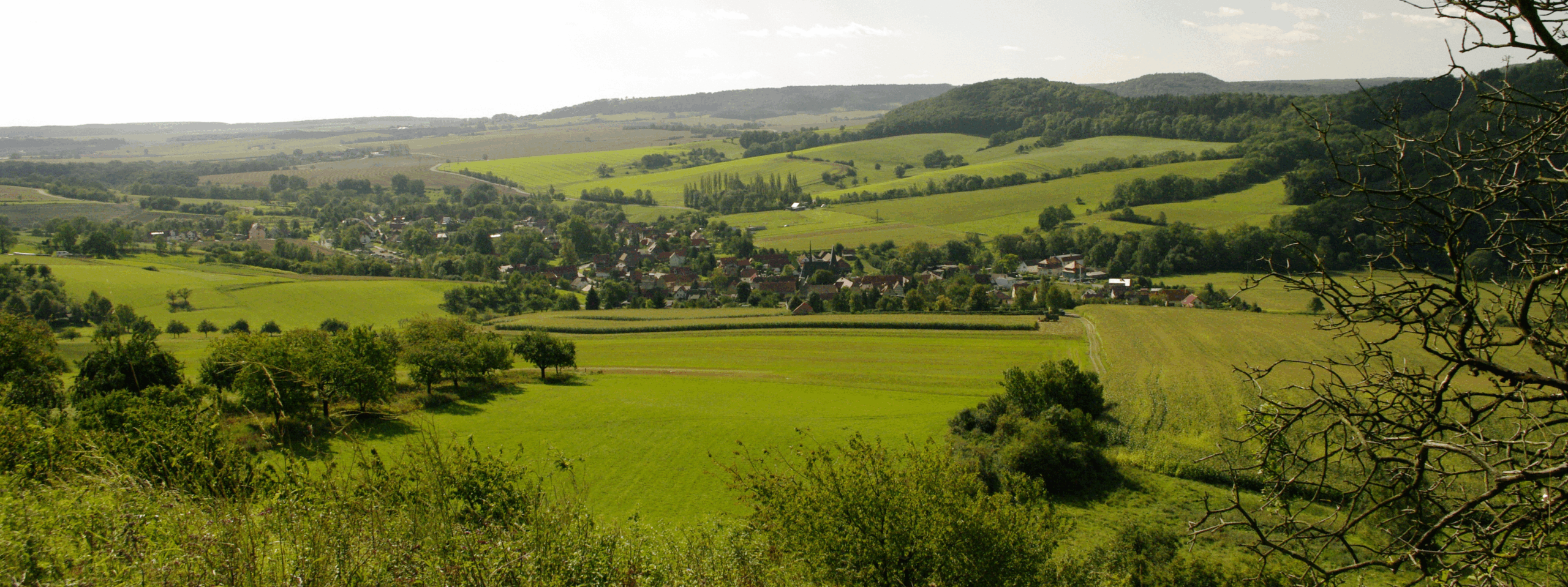 Natur